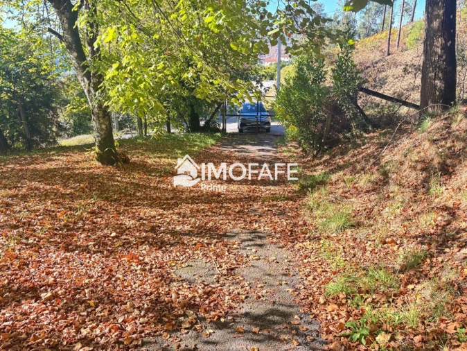Terreno para Venda em Ribas Foto 21