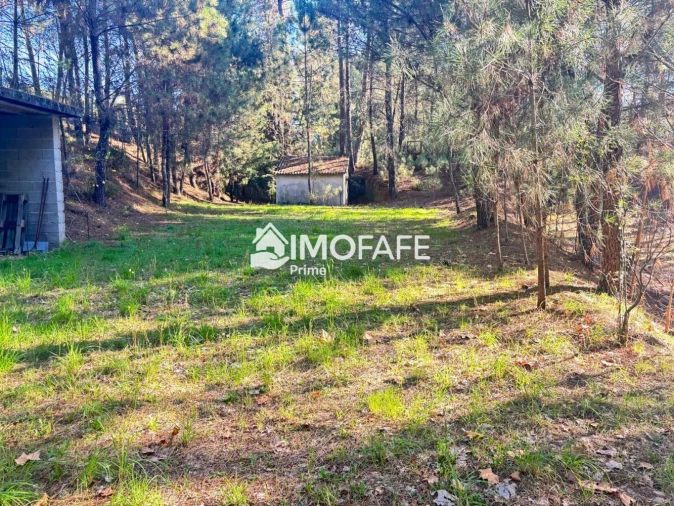 Terreno para Venda em Ribas Foto 9