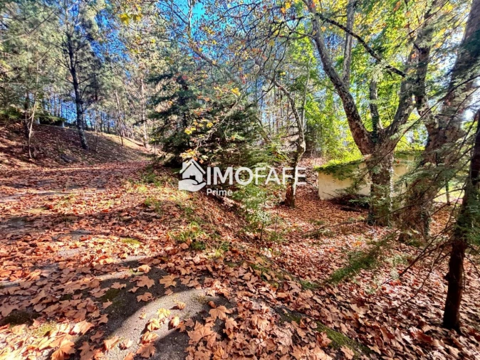 Terreno para Venda em Ribas Foto 15