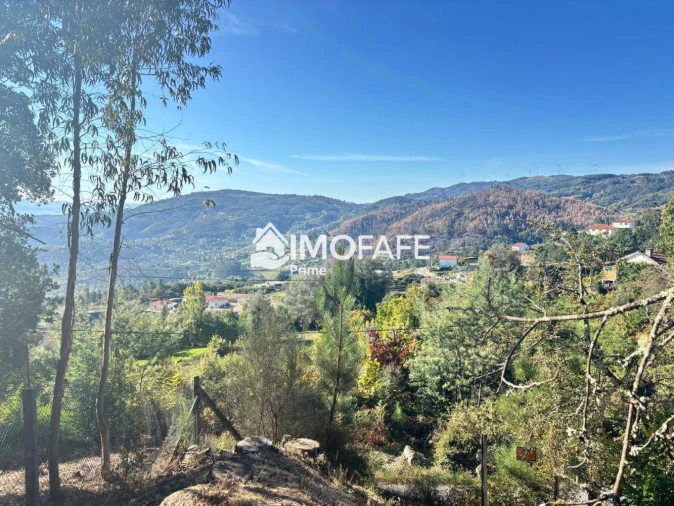 Terreno para Venda em Ribas Foto 20