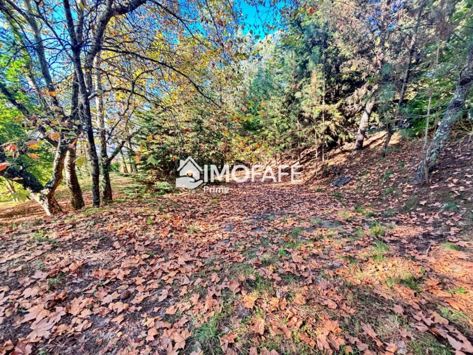 Terreno para Venda em Ribas Foto 10