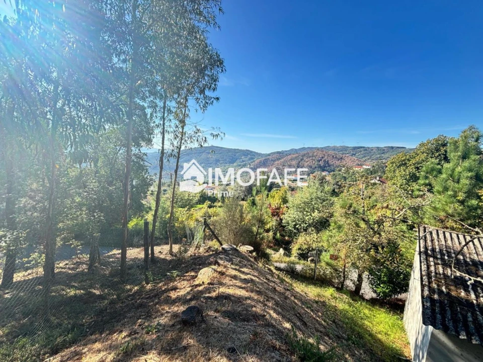 Terreno para Venda em Ribas Foto 19