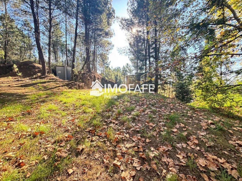 Terreno para Venda em Ribas Foto 11