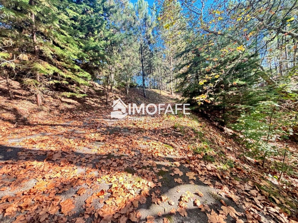 Terreno para Venda em Ribas Foto 26