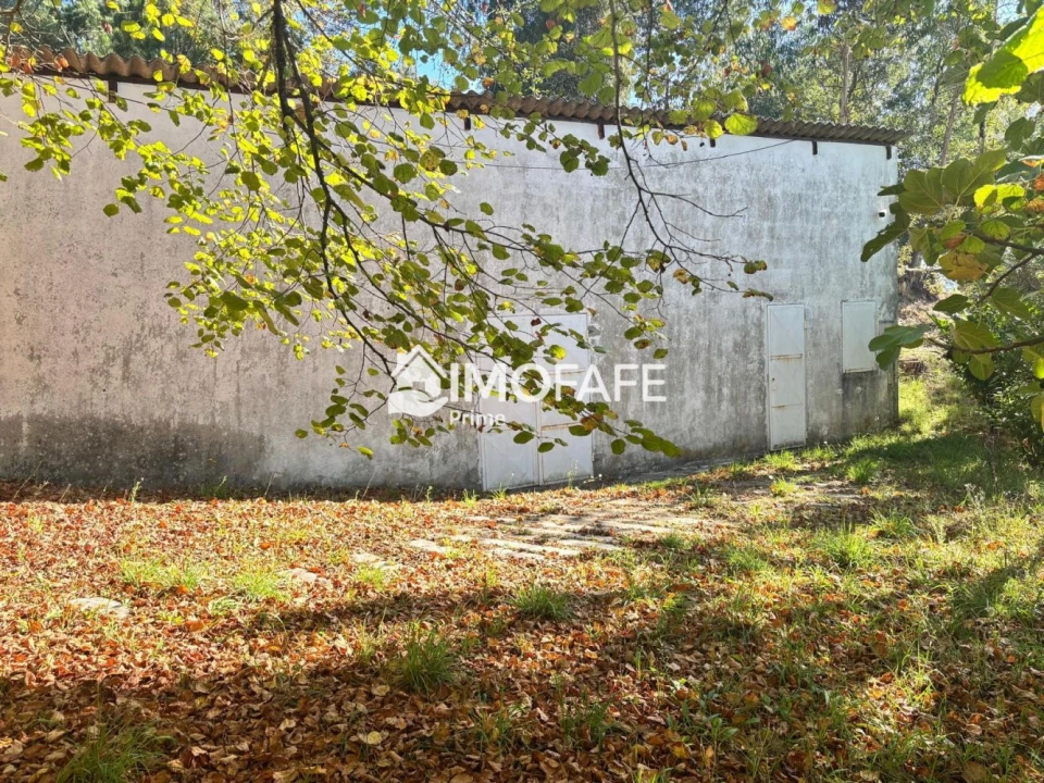 Terreno para Venda em Ribas Foto 23