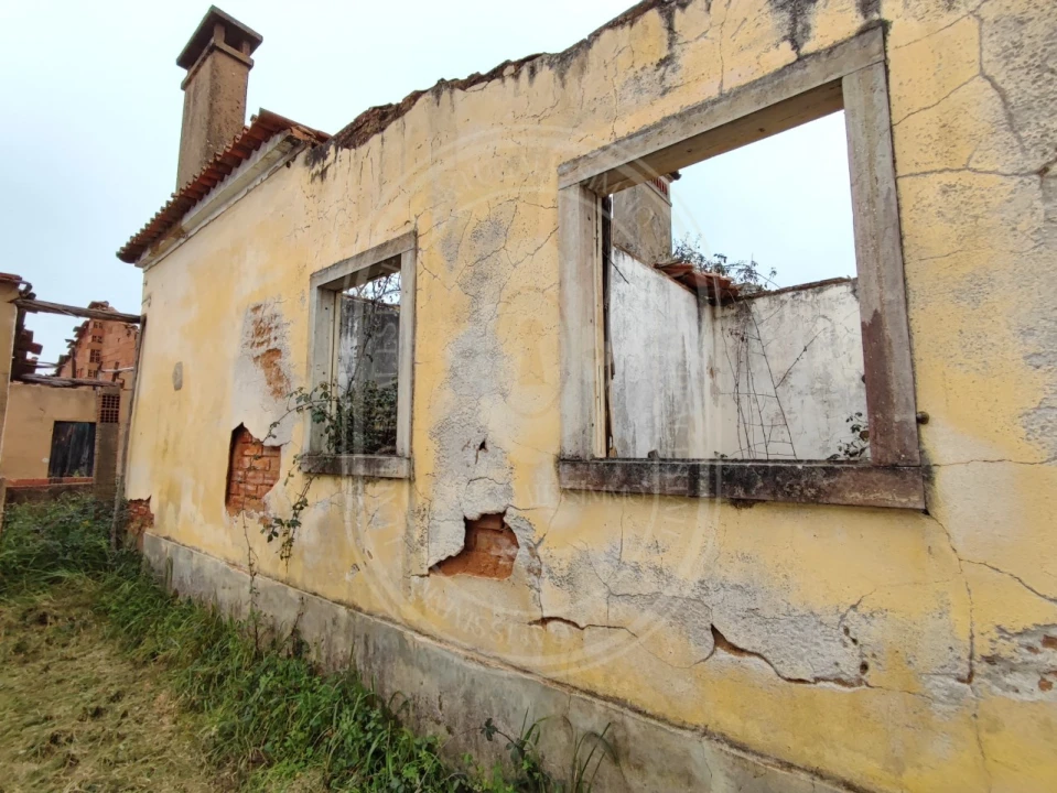Terreno para Venda em São João Baptista e Santa Maria dos Olivais Foto 5