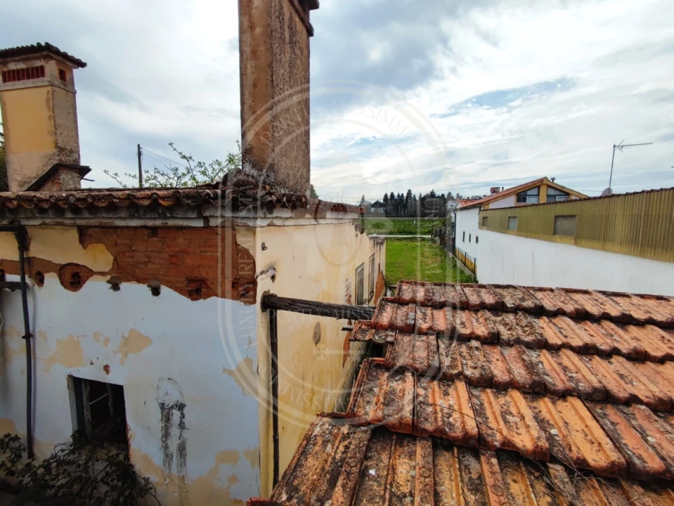 Terreno para Venda em São João Baptista e Santa Maria dos Olivais Foto 11