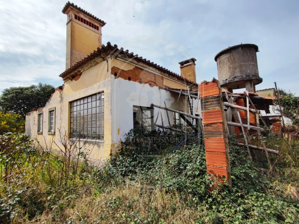 Terreno para Venda em São João Baptista e Santa Maria dos Olivais Foto 22