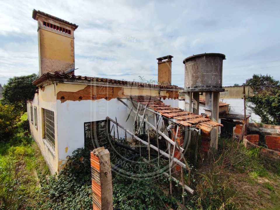 Terreno para Venda em São João Baptista e Santa Maria dos Olivais Foto 25