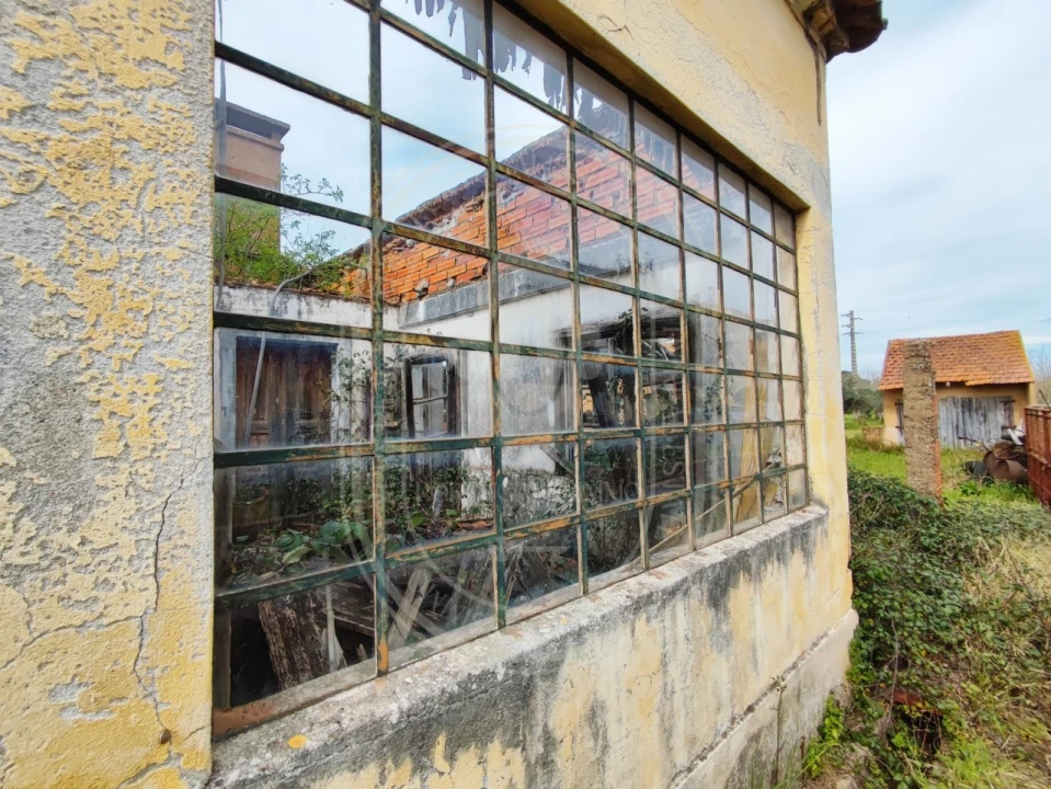 Terreno para Venda em São João Baptista e Santa Maria dos Olivais Foto 28