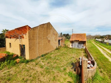 Terreno para Venda em São João Baptista e Santa Maria dos Olivais