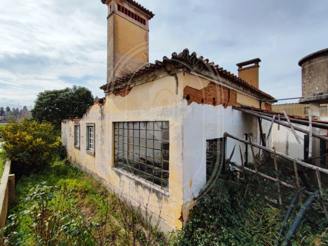 Terreno para Venda em São João Baptista e Santa Maria dos Olivais Foto 3