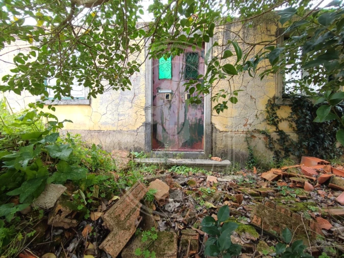Terreno para Venda em São João Baptista e Santa Maria dos Olivais Foto 4