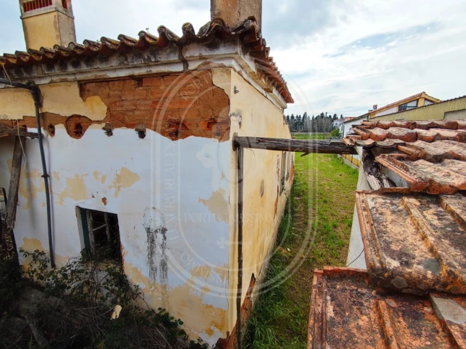Terreno para Venda em São João Baptista e Santa Maria dos Olivais Foto 9