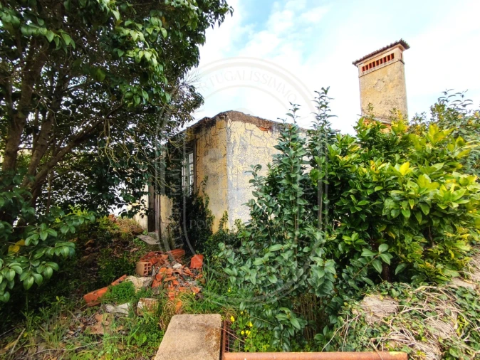 Terreno para Venda em São João Baptista e Santa Maria dos Olivais Foto 10