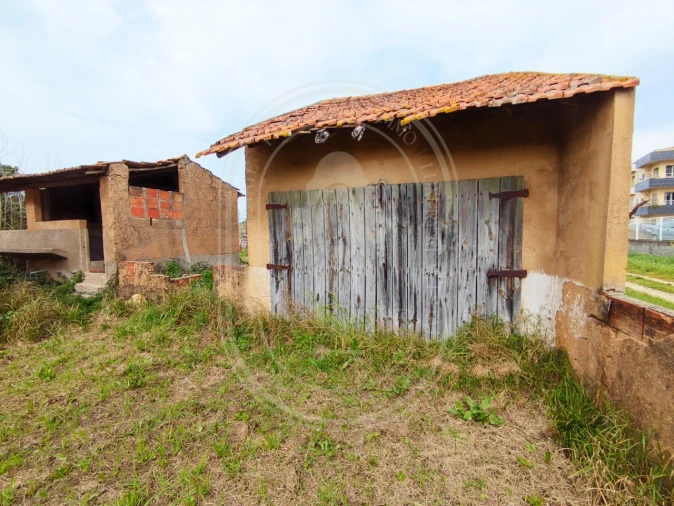 Terreno para Venda em São João Baptista e Santa Maria dos Olivais Foto 14