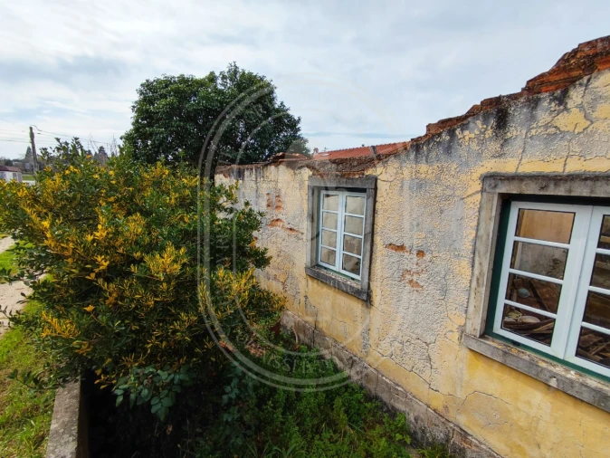 Terreno para Venda em São João Baptista e Santa Maria dos Olivais Foto 27
