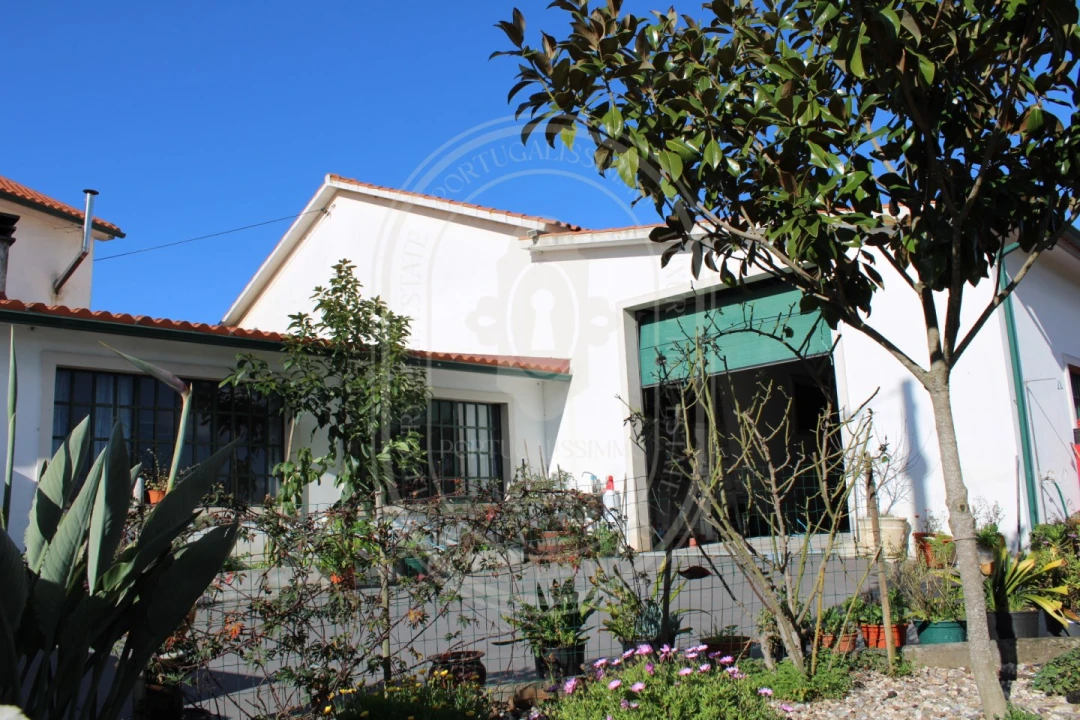Negócio para Venda em Além da Ribeira e Pedreira Foto 14
