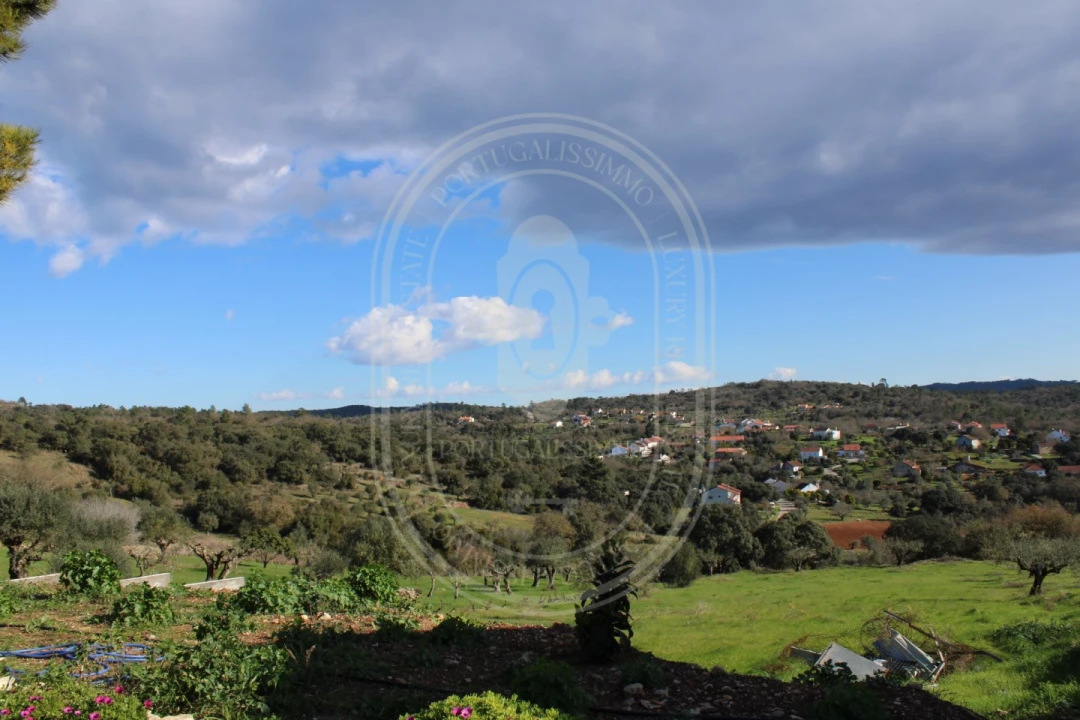 Negócio para Venda em Além da Ribeira e Pedreira Foto 16