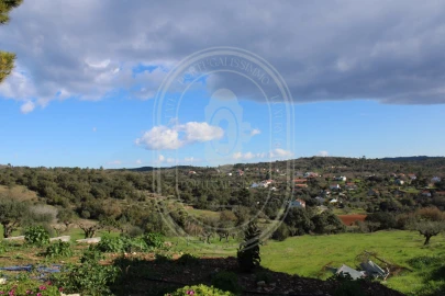 Negócio para Venda em Além da Ribeira e Pedreira