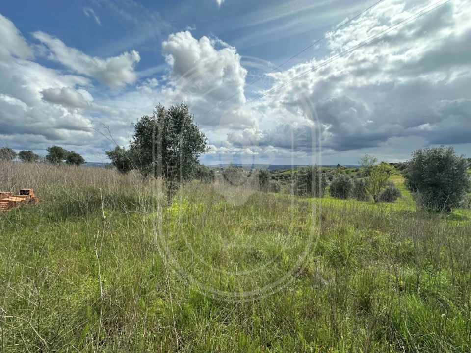 Terreno para Venda em São João Baptista e Santa Maria dos Olivais Foto 14