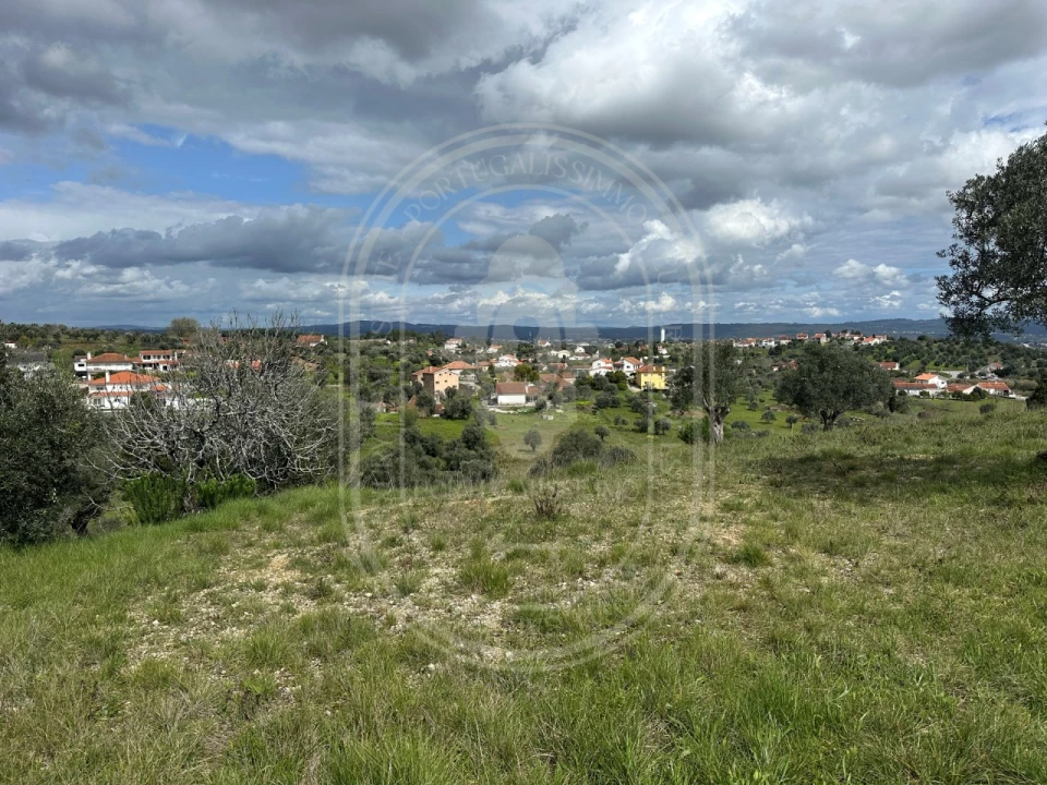 Terreno para Venda em São João Baptista e Santa Maria dos Olivais Foto 22