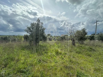 Terreno para Venda em São João Baptista e Santa Maria dos Olivais