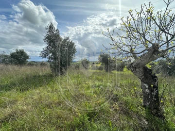 Terreno para Venda em São João Baptista e Santa Maria dos Olivais