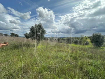 Terreno para Venda em São João Baptista e Santa Maria dos Olivais