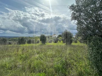Terreno para Venda em São João Baptista e Santa Maria dos Olivais