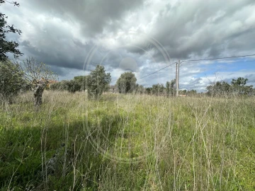 Terreno para Venda em São João Baptista e Santa Maria dos Olivais