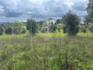 Terreno para Venda em São João Baptista e Santa Maria dos Olivais