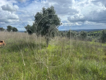 Terreno para Venda em São João Baptista e Santa Maria dos Olivais