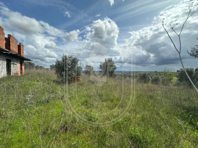 Terreno para Venda em São João Baptista e Santa Maria dos Olivais Foto 4