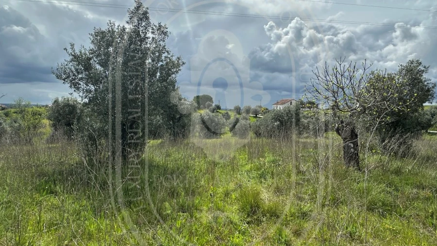Terreno para Venda em São João Baptista e Santa Maria dos Olivais