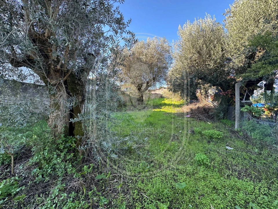 Moradia T4 para Venda em Olaia e Paço Foto 27