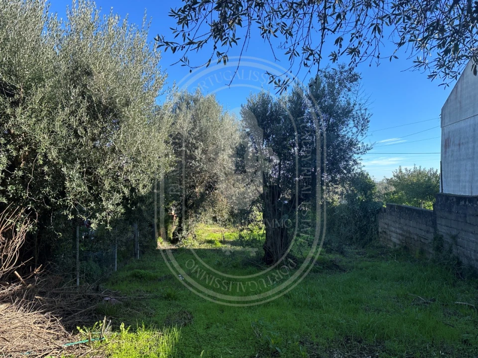 Moradia T4 para Venda em Olaia e Paço Foto 38