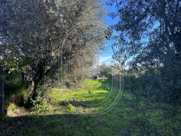 Moradia T4 para Venda em Olaia e Paço