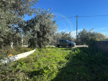 Moradia T4 para Venda em Olaia e Paço