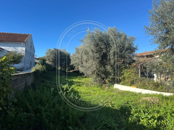 Moradia T4 para Venda em Olaia e Paço Foto 43