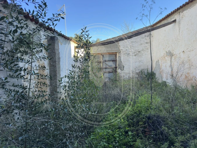 Moradia T4 para Venda em Olaia e Paço Foto 58