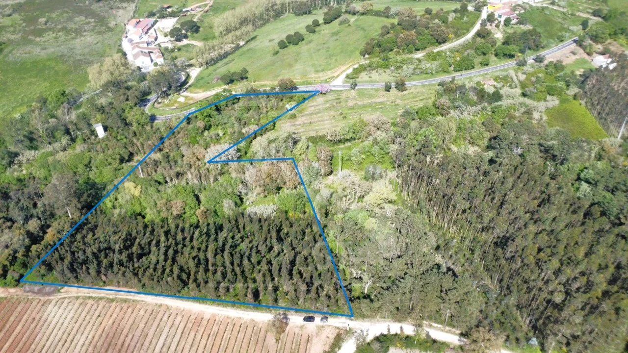 Terreno para Venda em Vidais Foto 1