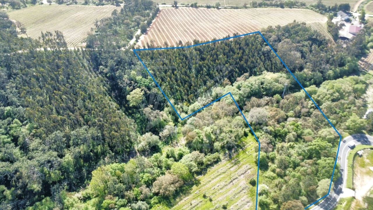 Terreno para Venda em Vidais Foto 4