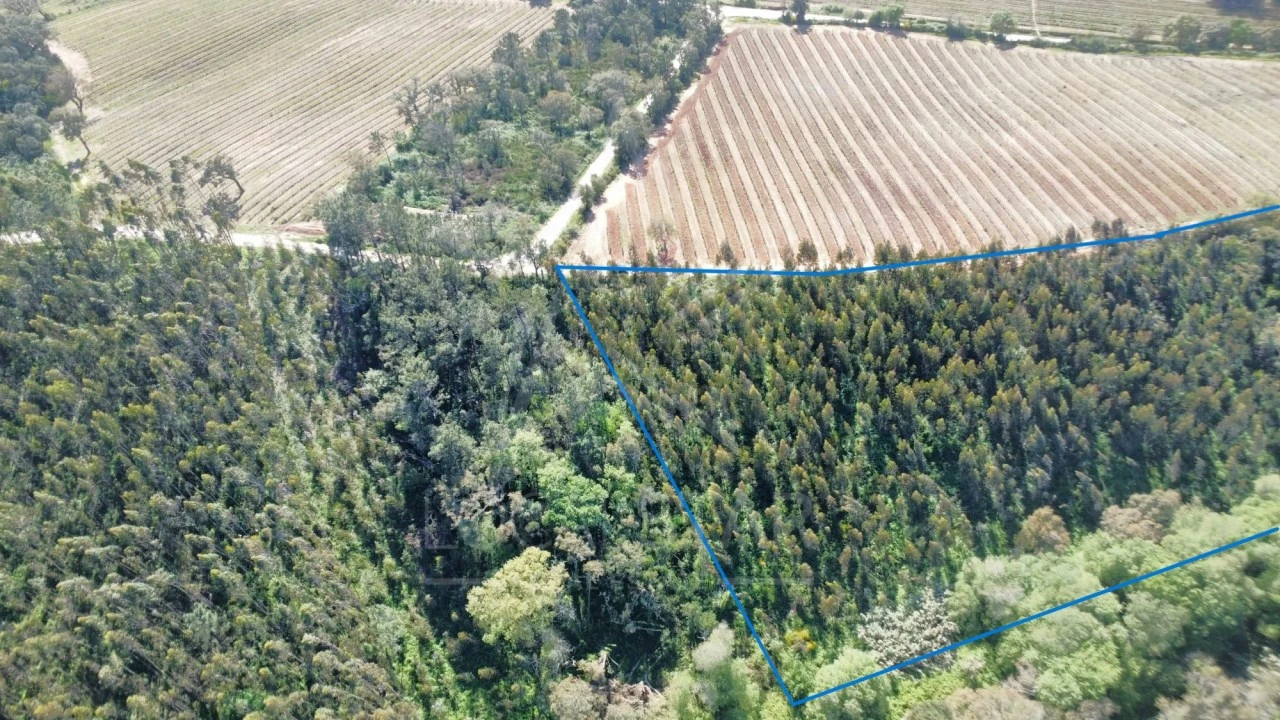 Terreno para Venda em Vidais Foto 7