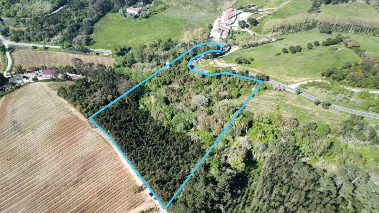 Terreno para Venda em Vidais Foto 1
