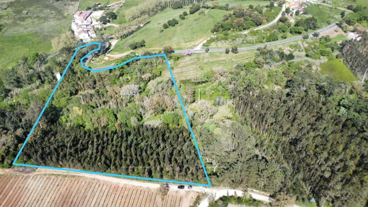 Terreno para Venda em Vidais Foto 3