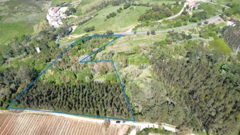Terreno para Venda em Vidais