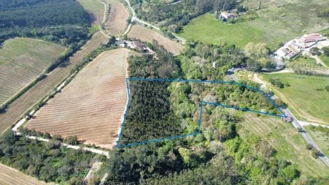 Terreno para Venda em Vidais