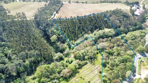 Terreno para Venda em Vidais