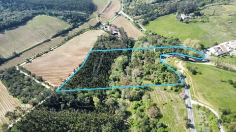 Terreno para Venda em Vidais